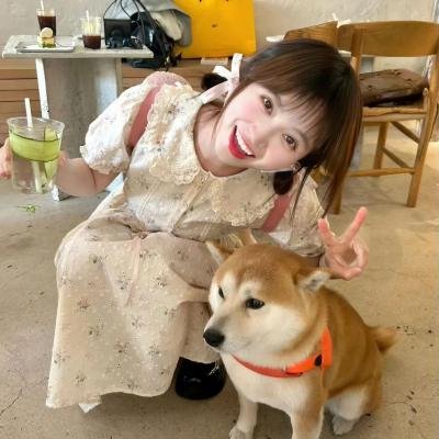 高原上的家屋